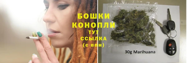 ГАЛЛЮЦИНОГЕННЫЕ ГРИБЫ Алексин