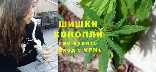 ГАЛЛЮЦИНОГЕННЫЕ ГРИБЫ Алексин