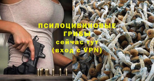 молекула духа Алексеевка