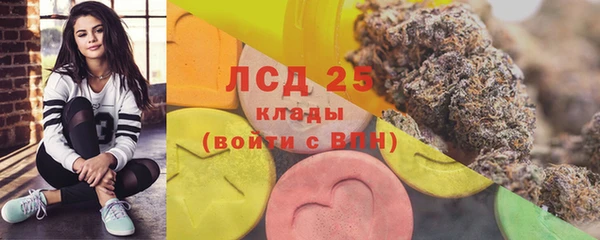 ГАЛЛЮЦИНОГЕННЫЕ ГРИБЫ Алексин